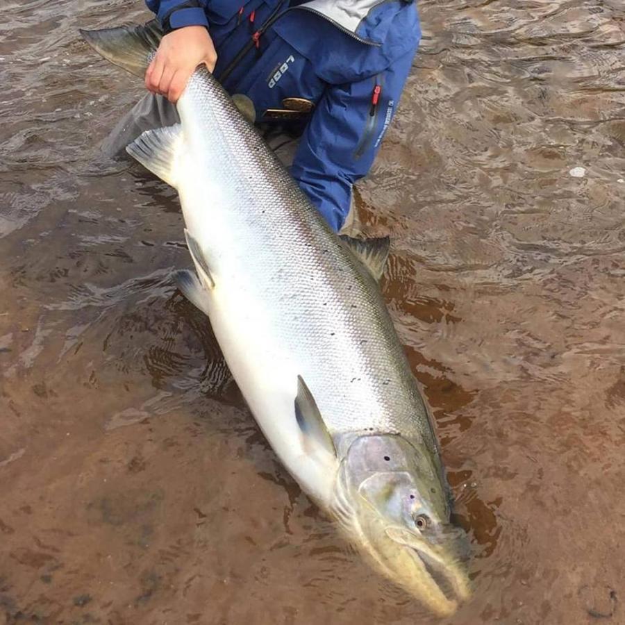 Jockfall Fishing And Activities - Oeverkalix ภายนอก รูปภาพ